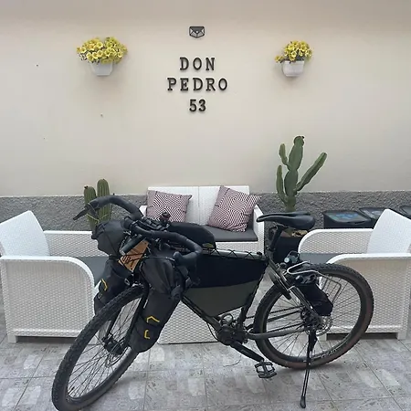 Don Pedro 53 4*